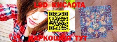 шишки Партизанск