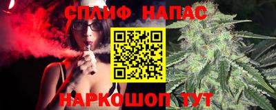 шишки Партизанск