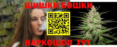 шишки Партизанск