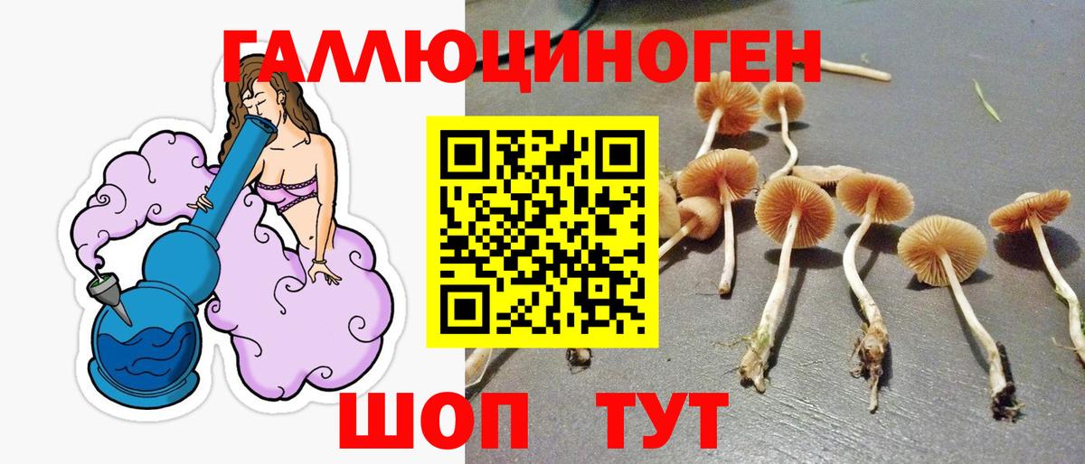 Псилоцибиновые грибы мухоморы  Вход с VPN  Псилоцибиновые грибы Magic Shrooms  Рославль 