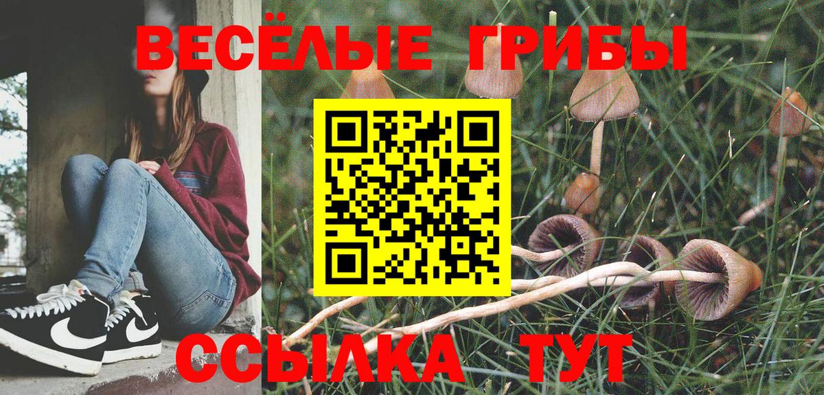Галлюциногенные грибы Magic Shrooms Рославль